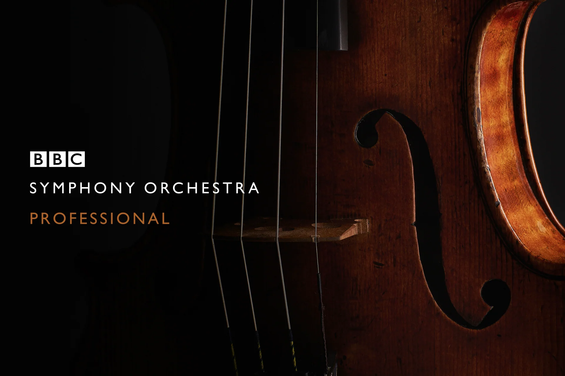 BBC Symphony Orchestra Professional - Image 3